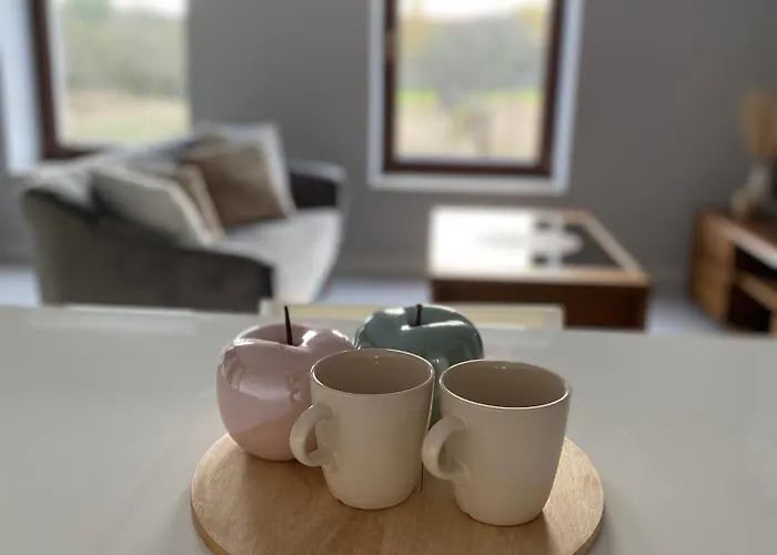 דירה Z Widokiem Na Pole רודה שלונסקה